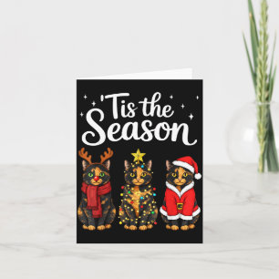 Tis The Season Tortoiseshell Cat Christmas Santa Card