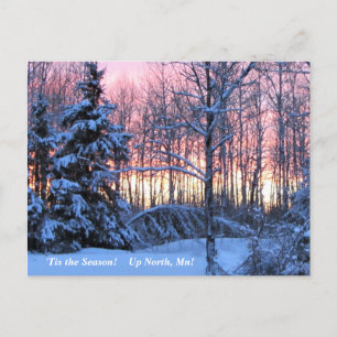 'Tis the Season  Up North, Mn Winter Holiday Postcard