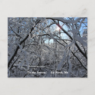 'Tis the Season  Up North, Mn Winter Holiday Postcard