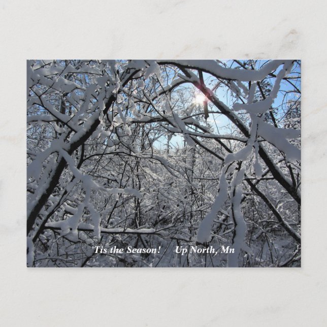 'Tis the Season  Up North, Mn Winter Holiday Postcard (Front)