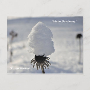 'Tis the Season  Winter Garden Up North Holiday Postcard