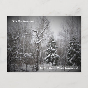 'Tis the Season Winter in the Bear River Gardens Postcard