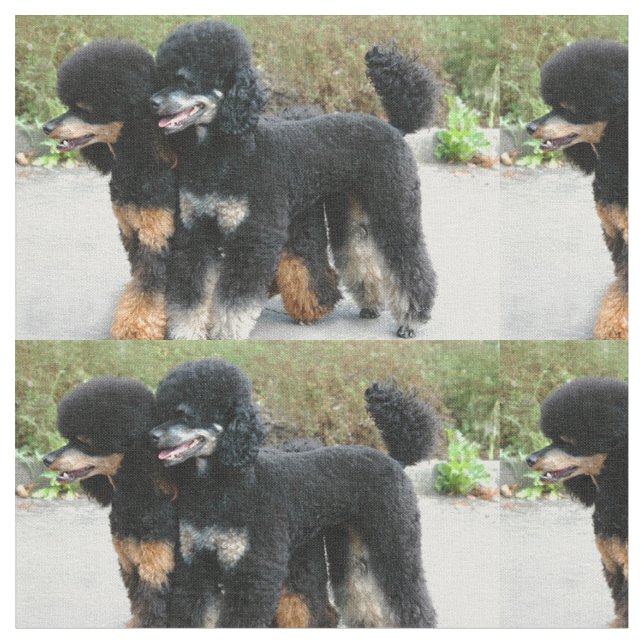 Tissu 2 caniches pleins (Fermer)