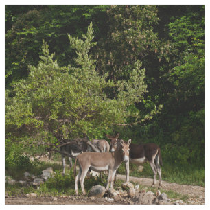 Tissu Ânes sous l'arbre