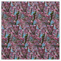 Arbre à tulipes
