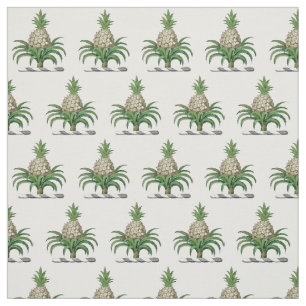 Tissu Armoiries de Preppy Heraldic