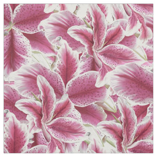 Tissu Astronome Lilly