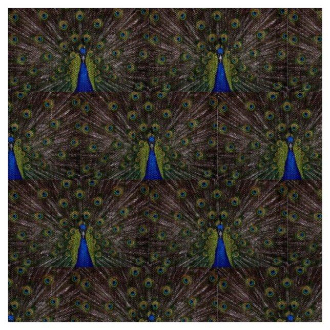 Tissu Beau Peacock (Échantillon)