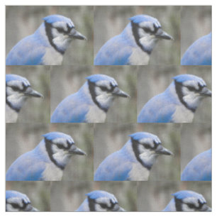 Tissu Beau plan rapproché de geai bleu