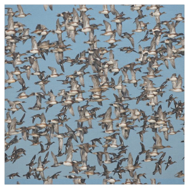 Tissu Beaux canards d'hiver en vol (Échantillon)