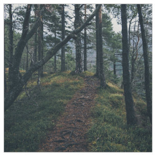 Tissu Bois orientés, vents de chemin par une forêt