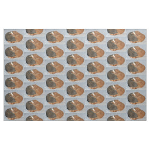 Tissu Boule de la laideur