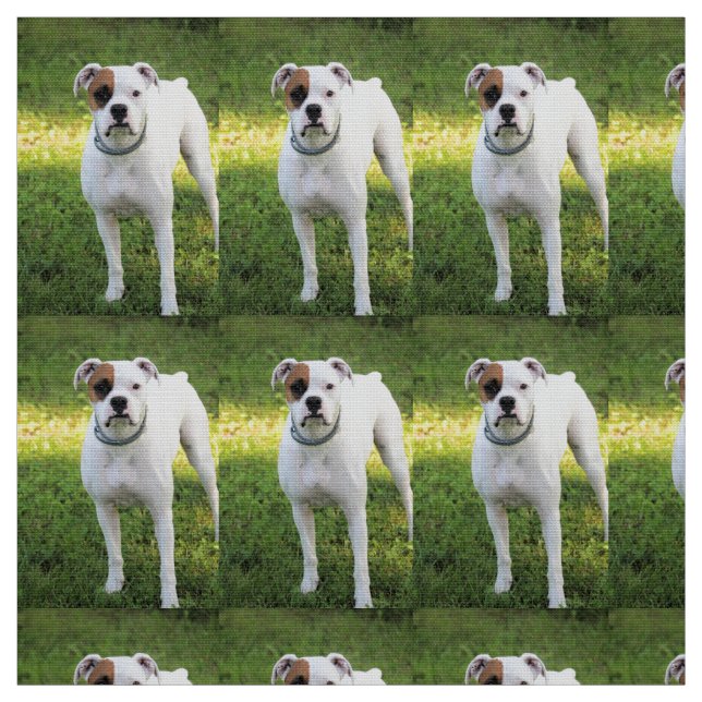 Tissu Boxer (Échantillon)