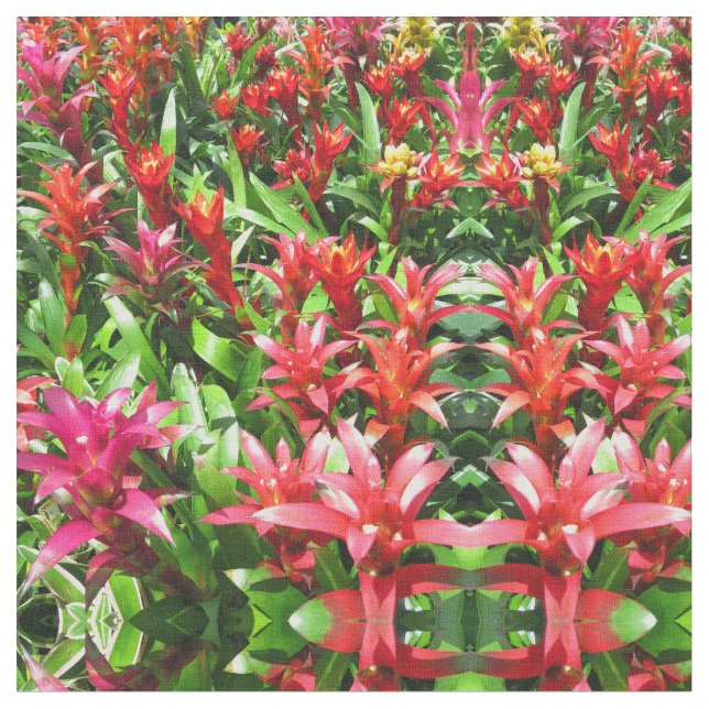 Tissu Bromeliads (Fermer)