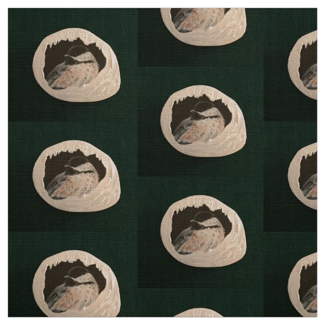 Tissu Brrr Chickadee (Échantillon)