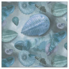 Calques fossiles - Texture pierre - (bleu)