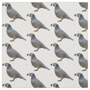 Tissu Caricature d'oiseau de caille de Californie