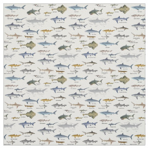 Tissu Cartes d'identification des requins étiquetées