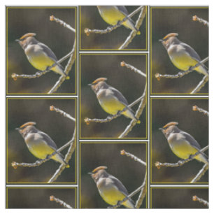 Tissu Cèdre cire Songbird Photo originale Oiseau sauvage