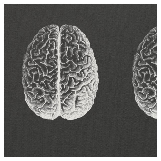 Tissu Cerveaux ! (Fermer)