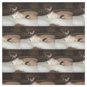 Tissu Chat siamois élégant