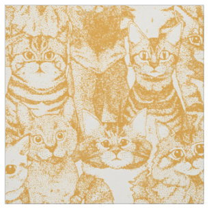 Tissu chatons papaye