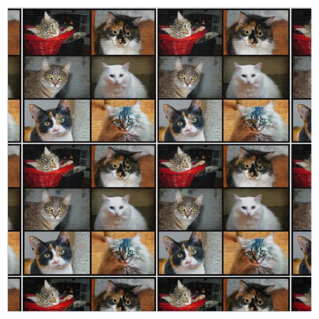 Tissu Chats Chats Chats (Échantillon)