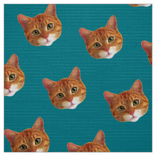 Tissu : Chats de gingembre