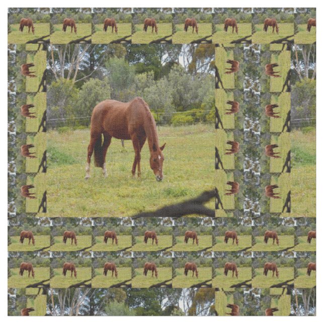 Tissu Cheval châtaigne brun paissant, (Fermer)