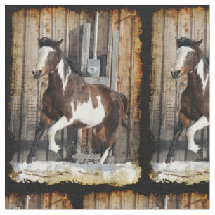 Tissu Cheval Pinto En Course