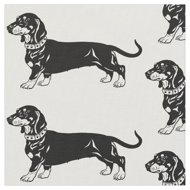 Tissu chien dachshund lisse (Fermer)