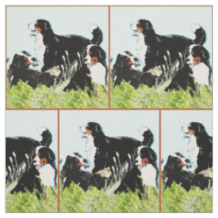 Tissu Chien de montagne bernois dans l'herbe