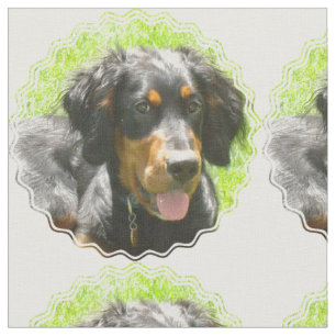 Tissu Chien de poseur de Gordon
