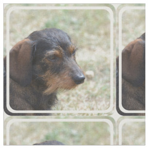 Tissu Chien d'une chevelure de Daschund de fil