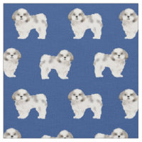 chien royal de shih tzu
