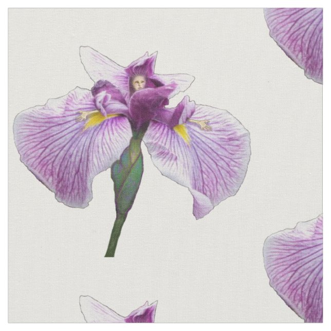 Tissu Chiffre d'iris (Fermer)