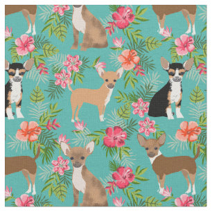 Tissu Chihuahua chiens hibiscus tropical