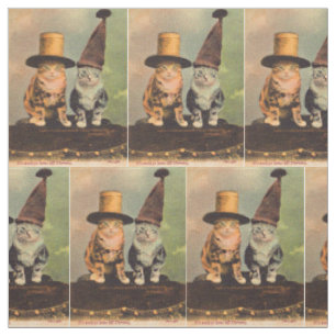 Tissu circa 1900 chats dans des casquettes RPPC