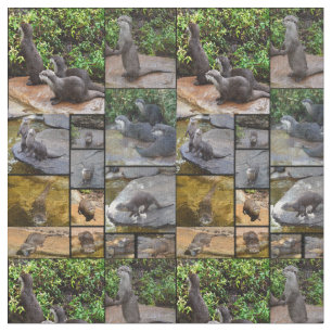 Tissu Collage de photos de loutres, matériau de coton c