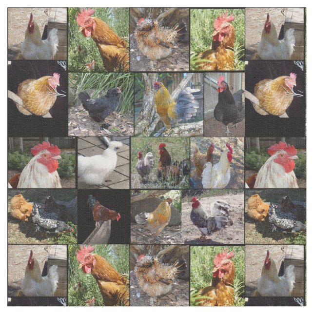 Tissu Collage De Photos De Poulets Et De Coqs, (Fermer)