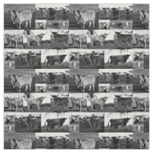 Tissu Collage de photos de vaches des Highlands en noir