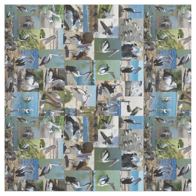 Tissu Collage photo de Pélican, (Fermer)