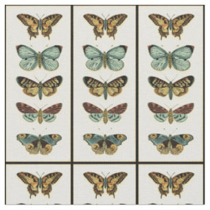 Tissu Collection de papillon par Chariklia Zarris
