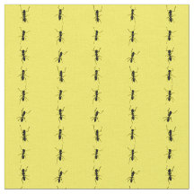 colonne de fourmis pinstripe