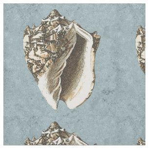 Tissu Conque délavée Shell