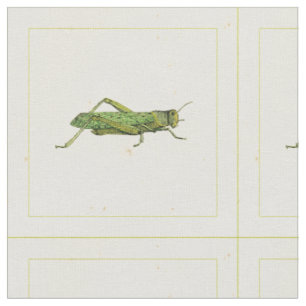 Tissu Copie encadrée de sauterelle verte