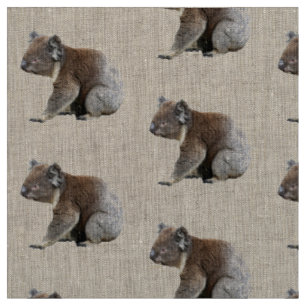 Tissu Copie mignonne de photo de koala
