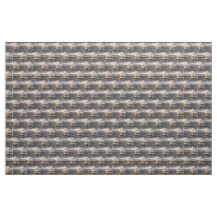 Tissu Coucher de soleil sur la plage