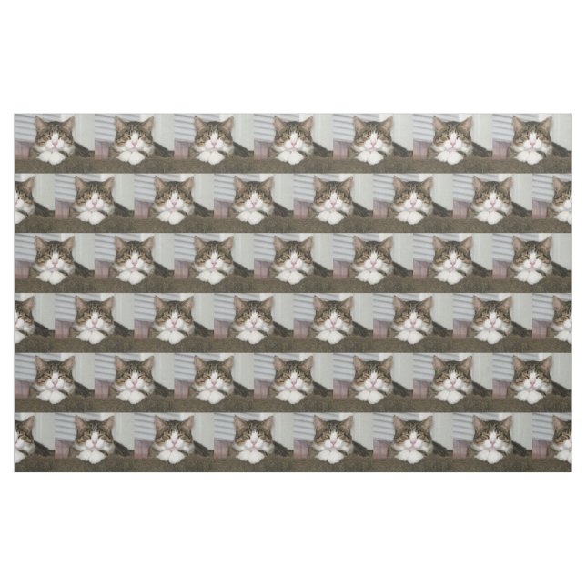 Tissu Cute chat (Fat Quarter)