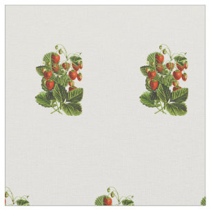 Tissu Cute Wild Strawberry Motif botanique
